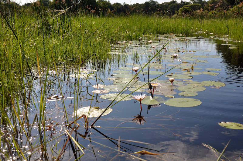 Melanie Heinrich Travel Images Africa